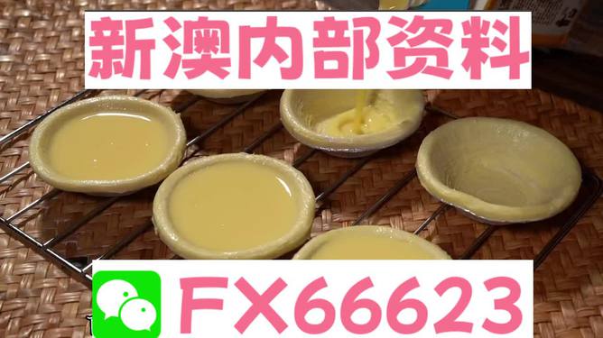 新澳精准资料免费提供,动态解析词汇_优选版39.826