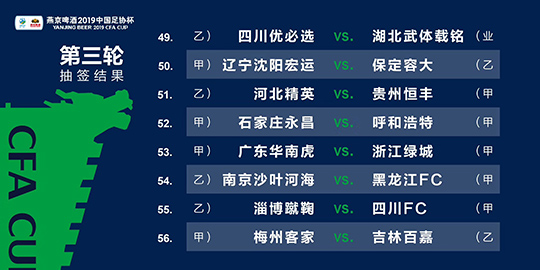 新澳2024年精准资料,广泛的解释落实方法分析_手游版34.274