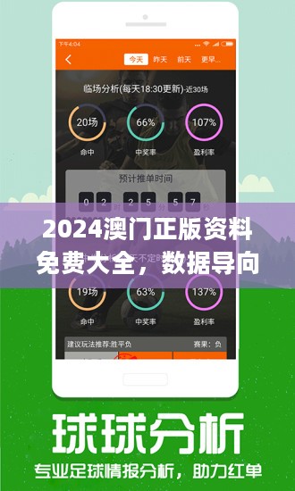 新澳2024正版资料免费公开,动态解读说明_W49.472