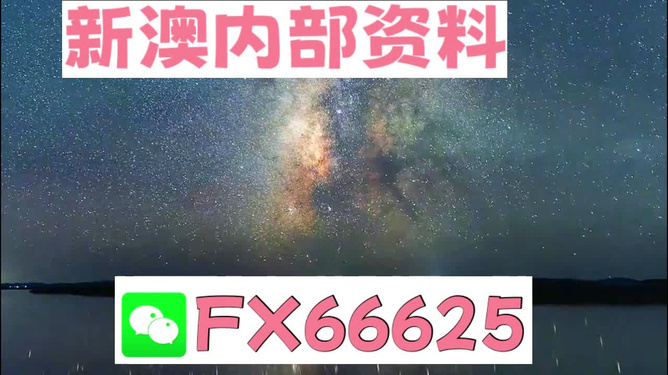 2024新澳天天资料免费大全,数量解答解释落实_超级版61.13