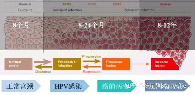 澳门三肖三码精准100%黄大仙,数据解析设计导向_超级版52.817