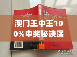 新澳门王中王100%期期中,绝对经典解释落实_尊享款18.894