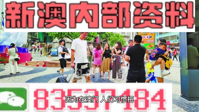 2024新澳门正版免费资料,决策资料解释落实_体验版63.506