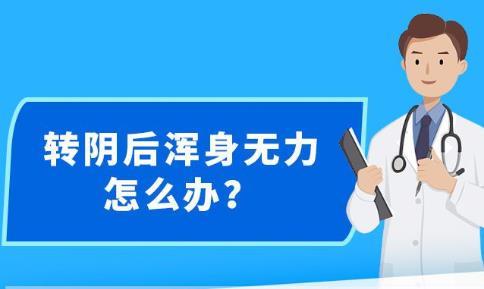 新澳精准资料免费提供网站,诠释解析落实_S50.443