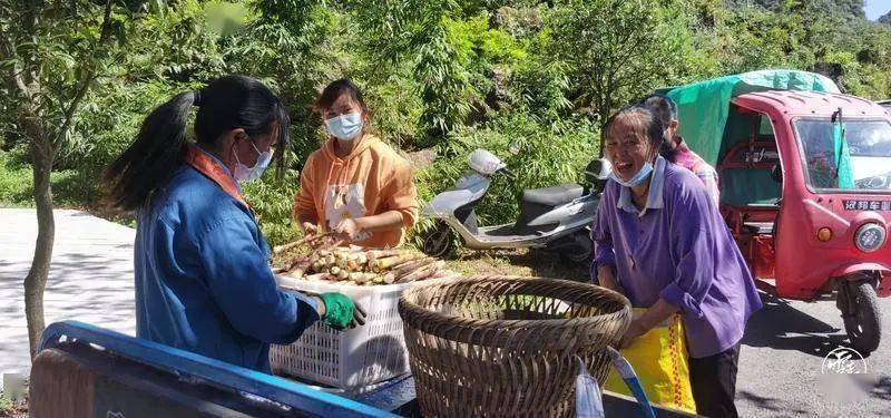 镇雄最新微生活，探寻城市新生活理念