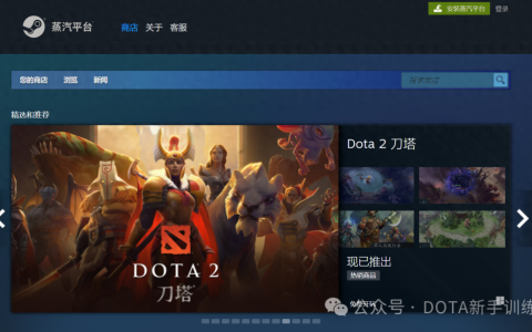 DOTA2下载区详解，获取与安装指南