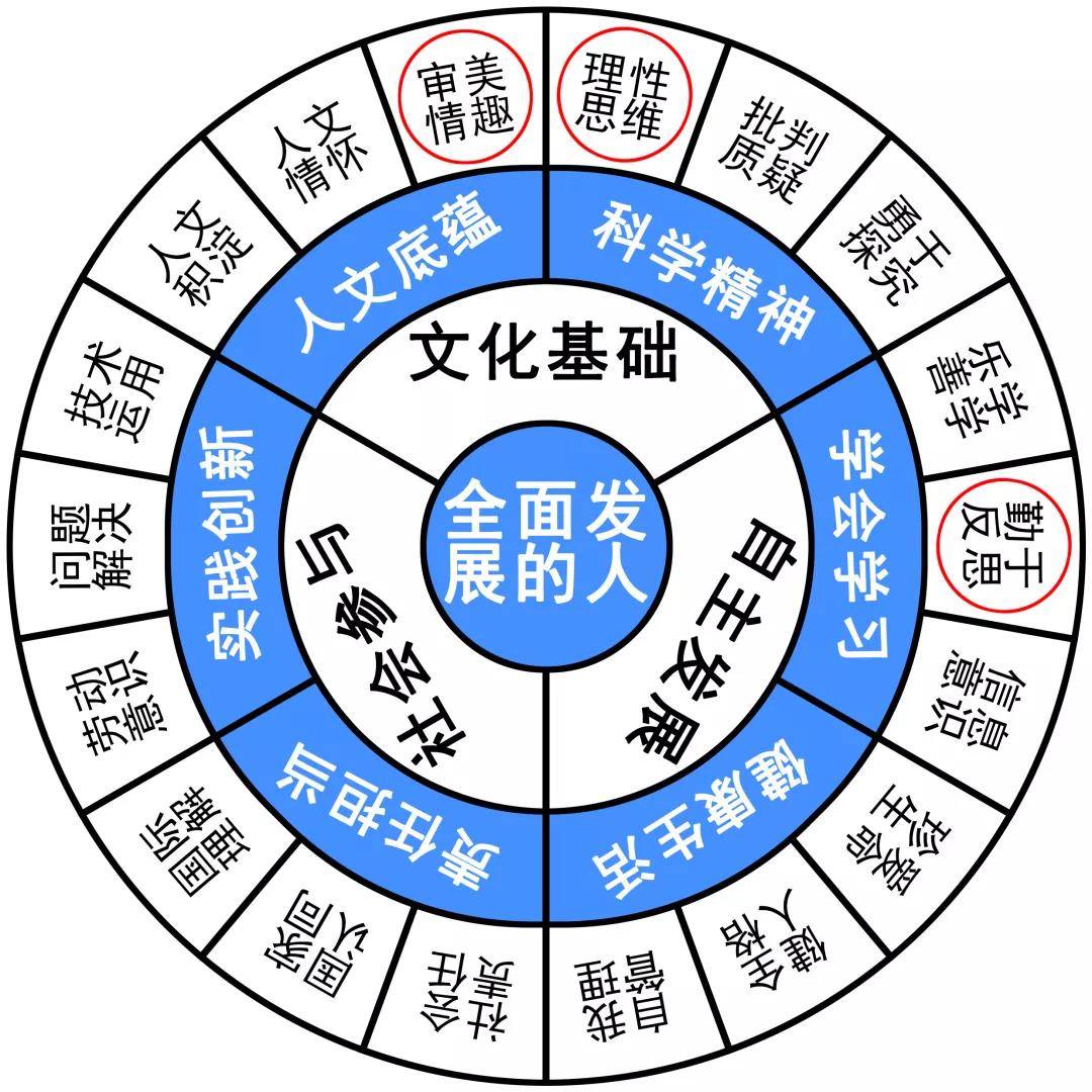 2024年新奥历史开奖号码｜精选解释解析落实