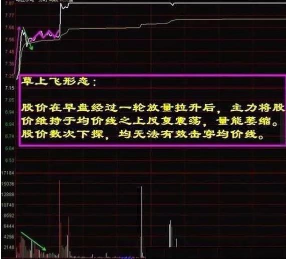 新澳天天开彩资料大全｜实用技巧与详细解析