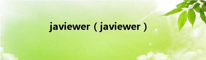 Javiewer 2.0.6最新版深度探索与实用指南