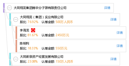 大同翔龙集团最新动态深度解析与综述