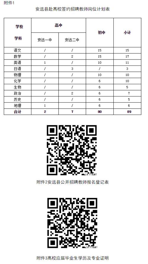 2024年12月29日 第29页