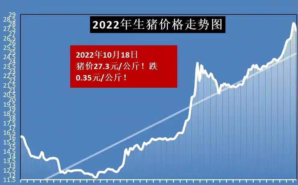 最新猪价分析与预测报告，趋势解读及预测