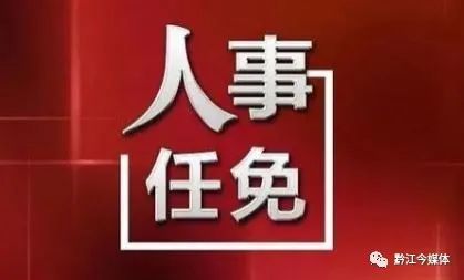 各地最新重要人事任免动态解析及调整