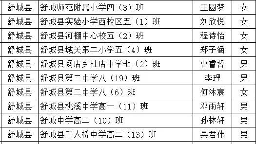 舒城教育网最新公告概览发布！