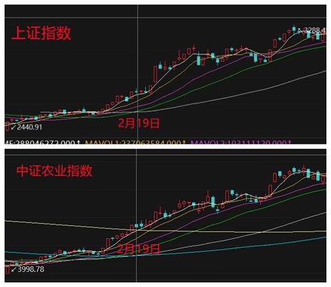 神龙基因股票最新动态，市场走势及前景展望