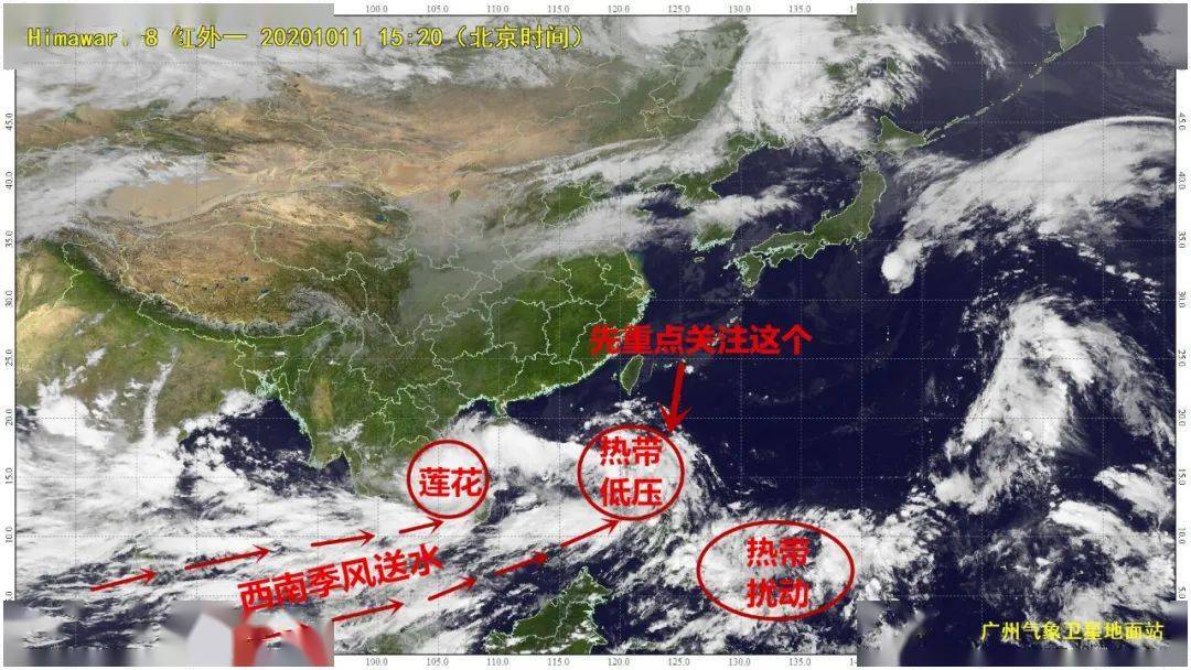 莲花台风最新动态，分析与应对策略