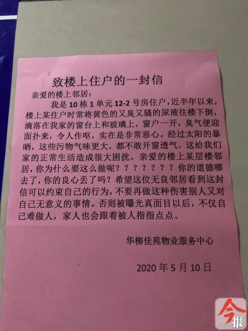 柳州华柳佳苑最新动态揭秘，城市新贵的生活品质追求揭秘