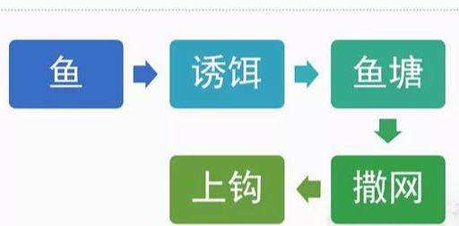 最新西钓网放鱼盛事，生态盛宴隆重启动