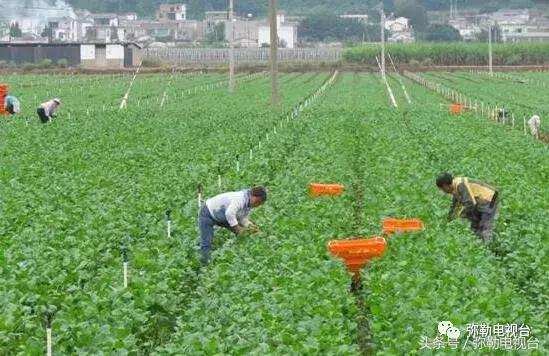 弥勒甸溪河最新规划图弥勒甸溪河最新规划图，重塑自然与城市的和谐共生