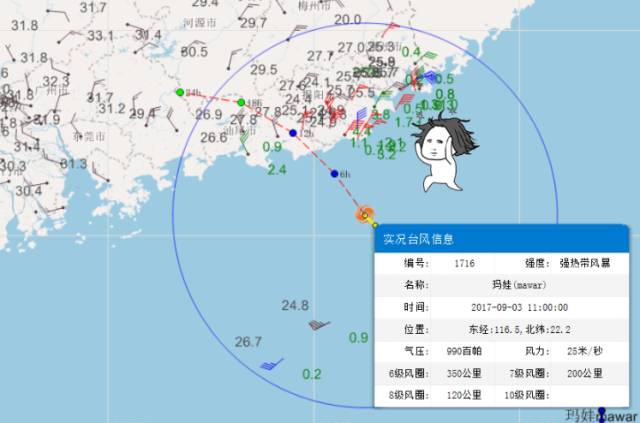 台凤玛娃最新动向及动态更新与影响分析摘要